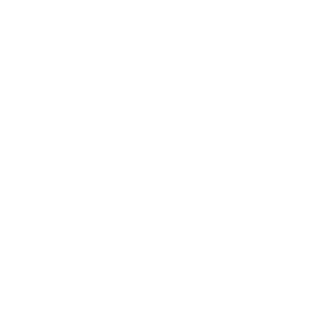 sbus
